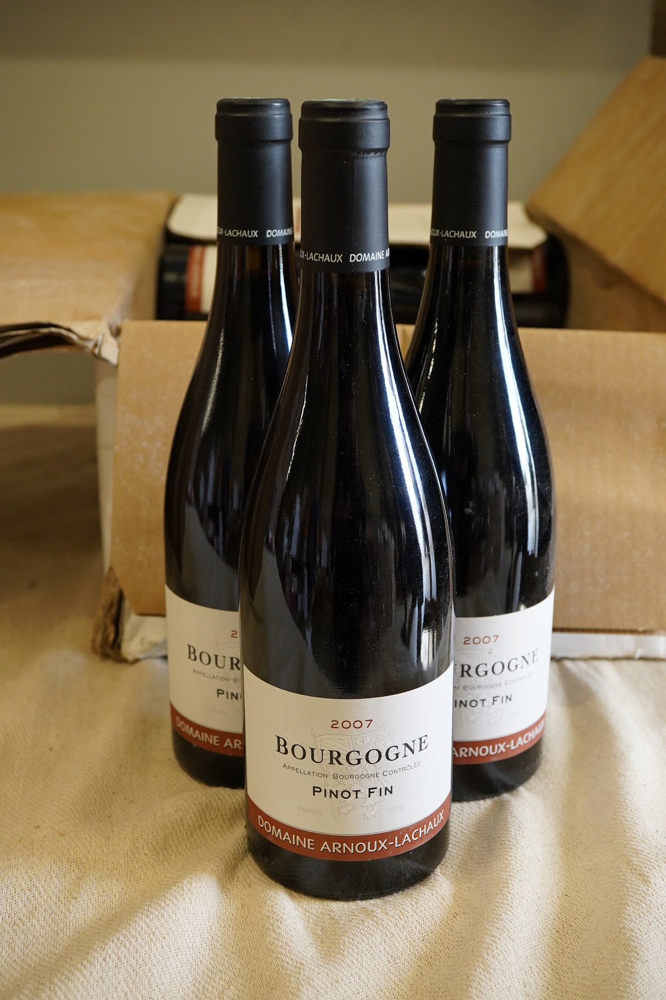 Domaine Arnoux-Lachaux, Bourgogne Pinot Fin, 2007